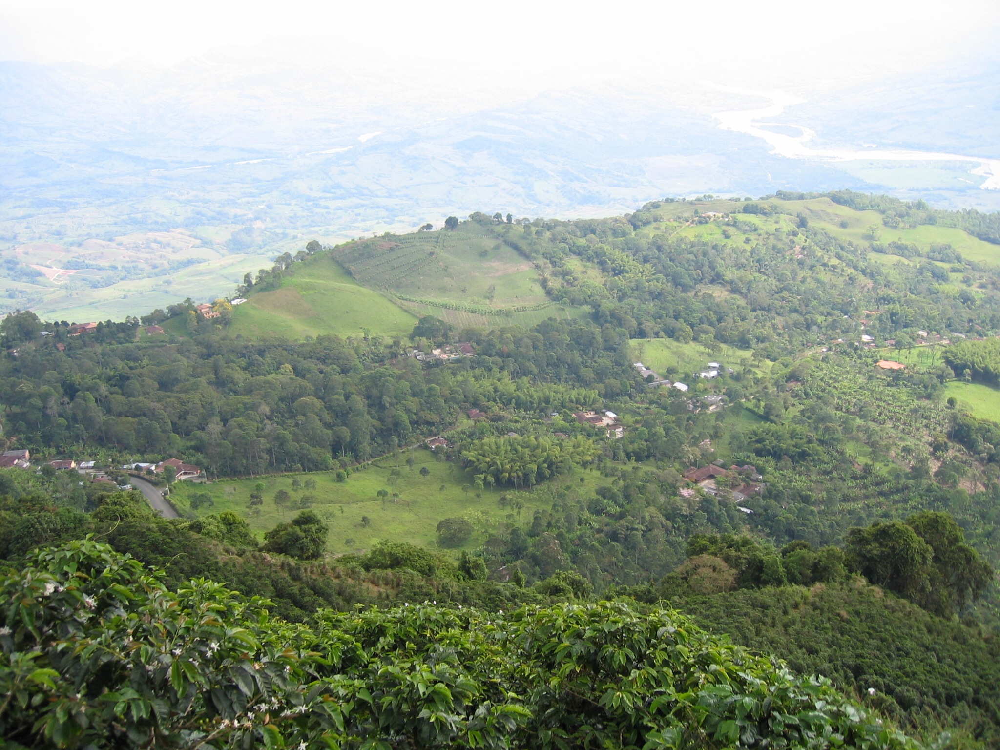 Colombian Coffee Farm