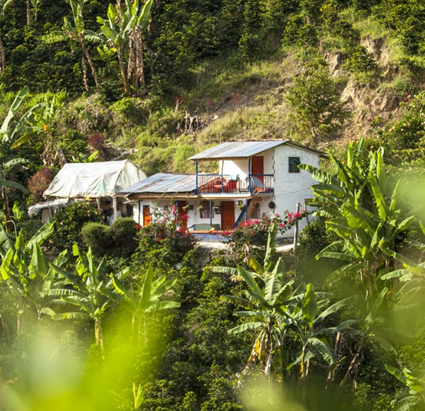 Juan Valdez - Antioquia